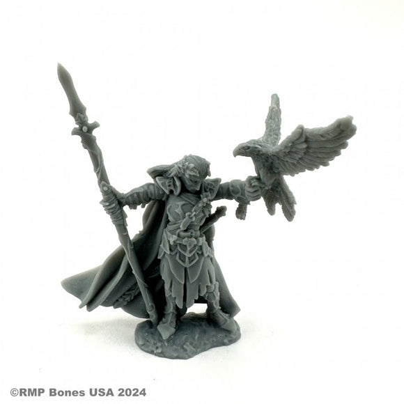 Dungeon Dwellers - Wood Elf King 07120
