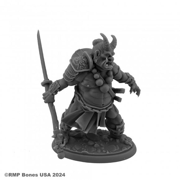 Dungeon Dwellers - Ogre Magi 07143