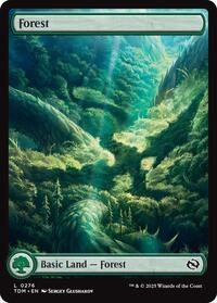 Magic: The Gathering Single - Tarkir: Dragonstorm - Forest (0276) - FOIL Land/0276 - Lightly Played
