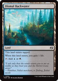 Magic: The Gathering Single - Tarkir: Dragonstorm - Dismal Backwater - FOIL Land/0254 - Lightly Played