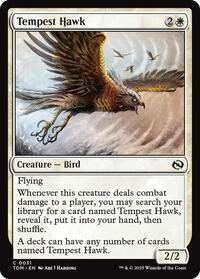 Magic: The Gathering Single - Tarkir: Dragonstorm - Tempest Hawk - FOIL Common/0031 - Lightly Played