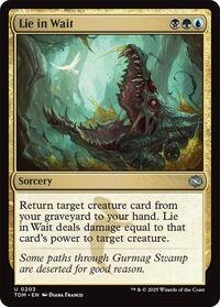 Magic: The Gathering Single - Tarkir: Dragonstorm - Lie in Wait - FOIL Uncommon/0203 - Lightly Played