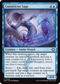 Magic: The Gathering Single - Tarkir: Dragonstorm - Constrictor Sage - FOIL Common/0039 - Lightly Played