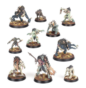 Warhammer: Age of Sigmar - Warcry: Royal Beastflayers