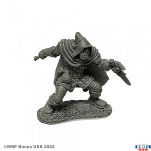 ROGAN, HALF ORC THIEF