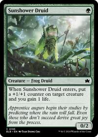 Magic: The Gathering Single - Bloomburrow - Sunshower Druid - FOIL Common/0195 - Lightly Played