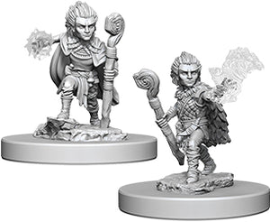Pathfinder Deep Cuts Unpainted Miniatures: W5 Gnome Male Druid