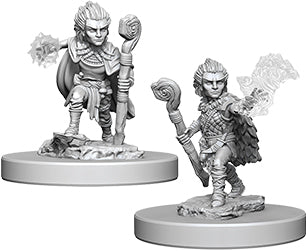 Pathfinder Deep Cuts Unpainted Miniatures: W5 Gnome Male Druid