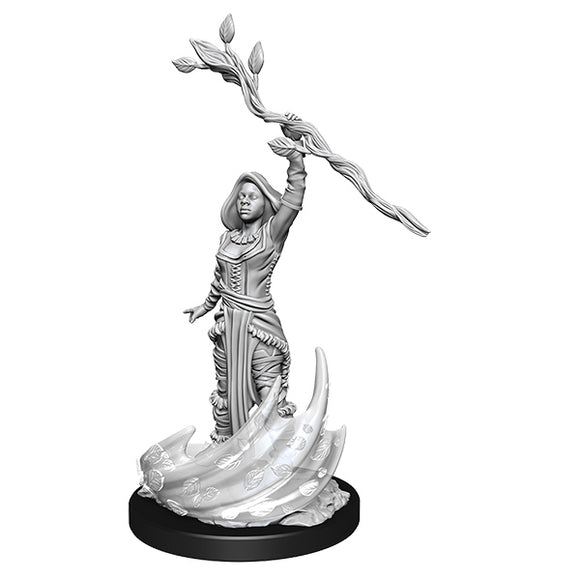 D&D Minis: Wave 14- Human Druid Female