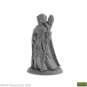 Bones USA Dungeon Dwellers - ANTHANELLE, FEMALE ELF WIZARD 07028