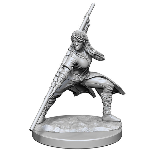 D&D Minis: Wave 14- Human Monk Female