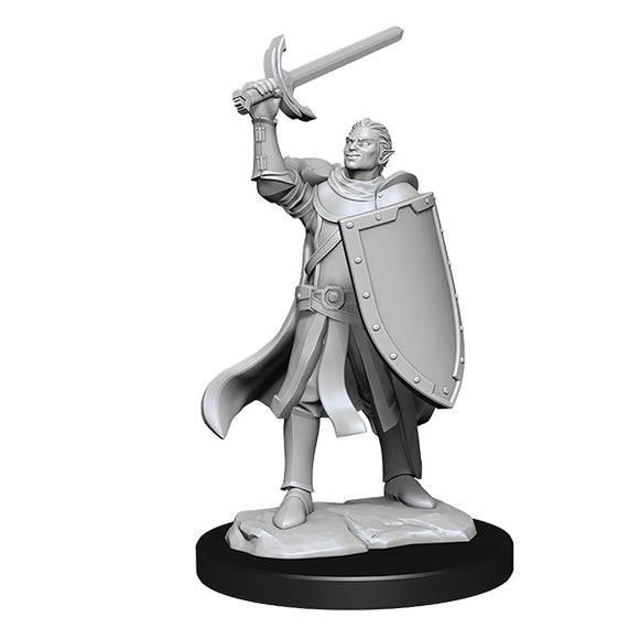 D&D Minis: Wave 14- Half-Elf Paladin Male