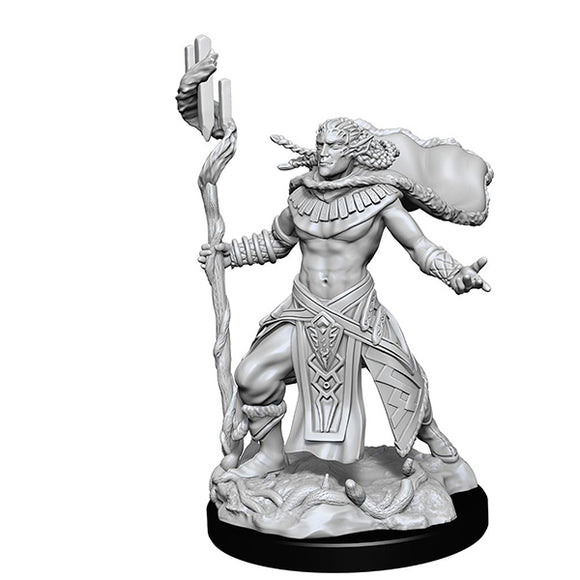 Dungeons & Dragons MTG Miniatures: W14 Elf Fighter & Elf Cleric