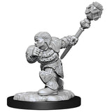 Dungeons & Dragons MTG Miniatures: W14 Dwarf Fighter & Dwarf Cleric
