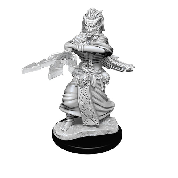 D&D Minis: Wave 14- Night Hag & Duck Hag