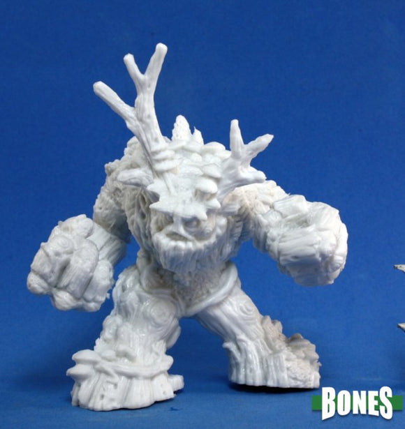 Spirit of The Forest