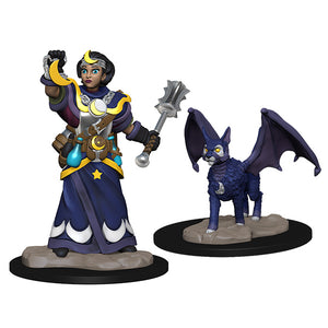 Wizkids Minis: Wardlings- Girl Cleric & Winged Cat