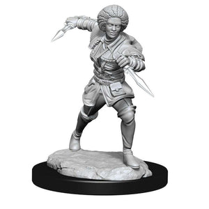 Dungeons & Dragons MTG Miniatures: W14 Kaya