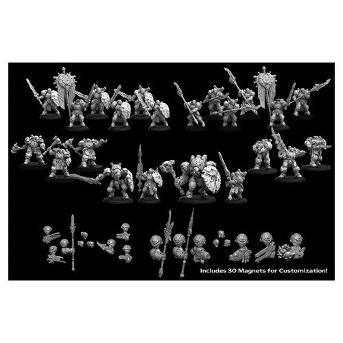 Warmachine: Orgoth Sea Raiders Core Army Starter