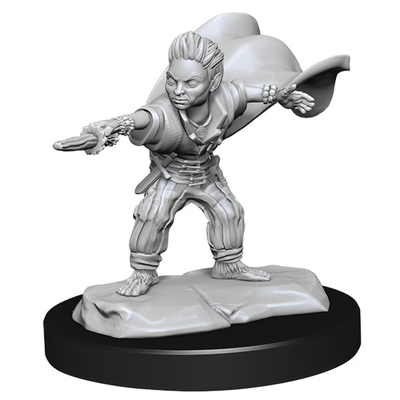 Pathfinder Minis: Deepcuts Wave 14- Halfling Wizard Male