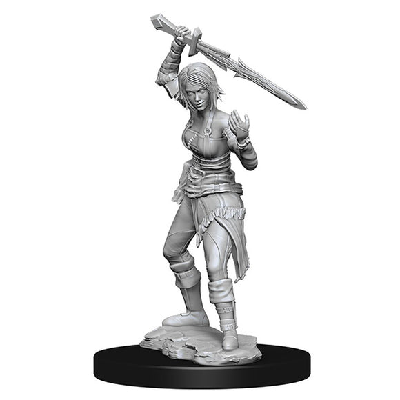 Dungeons & Dragons MTG Miniatures: W14 Nahiri