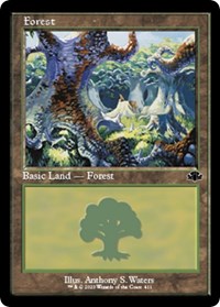 Magic: The Gathering Single - Dominaria Remastered - Forest (411) (Retro Frame) (Foil) - Land/411 Lightly Played