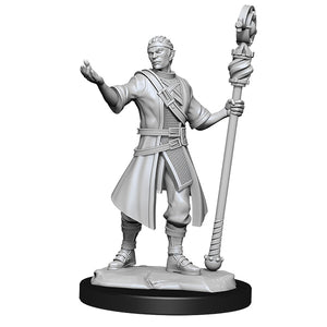D&D Minis: Wave 14- Half-Elf Wizard Male