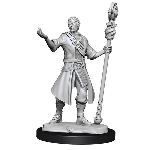 D&D Minis: Wave 14- Half-Elf Wizard Male