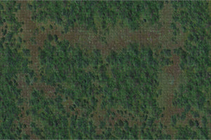 Dungeons & Dragons Fantasy Miniatures: Icons of the Realms Forest Battle Mat