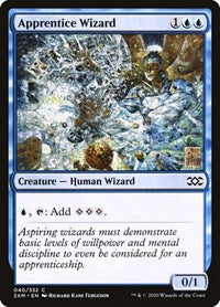 Magic: The Gathering Single - Double Masters - Apprentice Wizard Common/040 Lightly Played