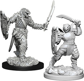 Dungeons & Dragons Nolzur`s Marvelous Unpainted Miniatures: W5 Dragonborn Female Paladin