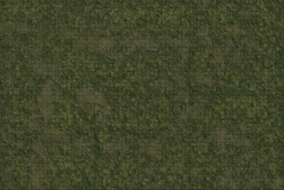 Dungeons & Dragons Fantasy Miniatures: Icons of the Realms Grasslands Battle Mat