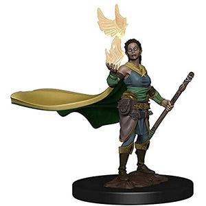 D&D Icons of the Realms: Premium Miniature - Elf Female Druid