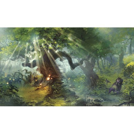 LEGION PLAYMAT: LANDS - FOREST
