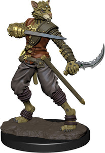 D&D Icons of the Realms: Premium Tabaxi Male Rouge