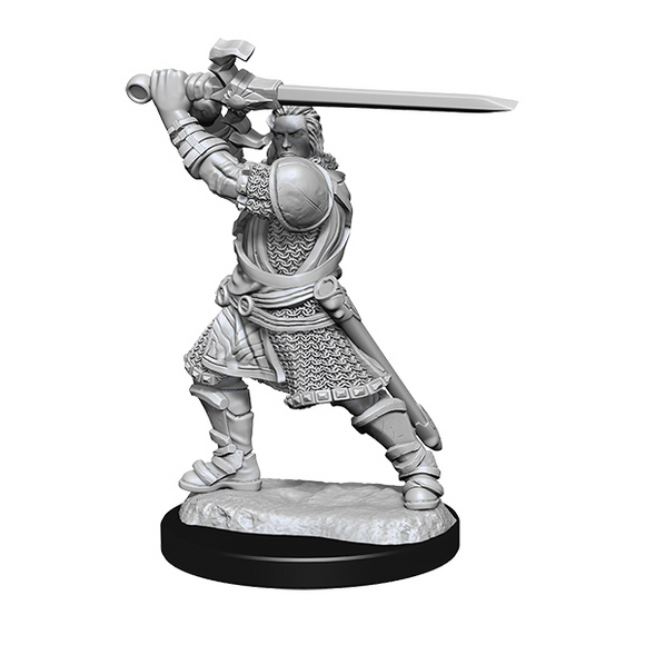 D&D Minis: Wave 14- Human Paladin Male